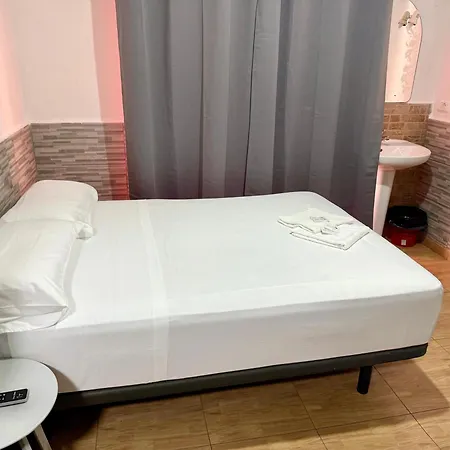 Rosa * ベニドルム